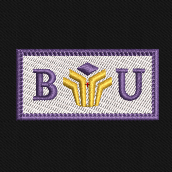 Bellevue University | Pentab Patch